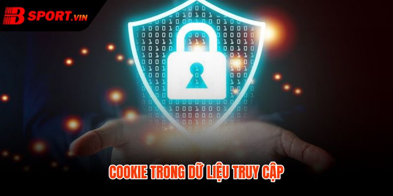 Chính Sách Bảo Mật 2 Cookie truy cập trong chính sách bảo mật và an toàn phiên